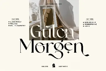 Belgan Aesthetic font