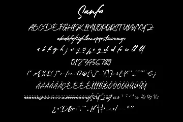 Sanfo Brush Font