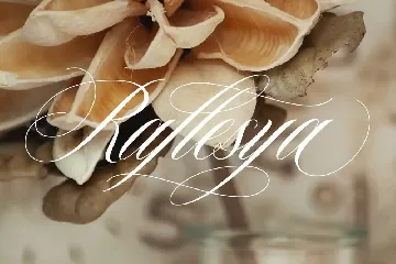 Angeline | Modern Calligraphy font