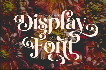 Megan Display font