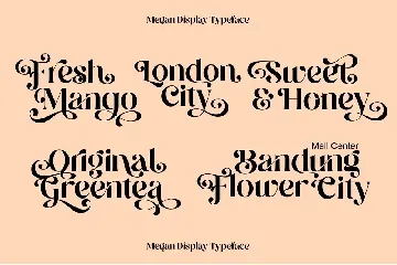 Megan Display font