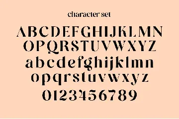 Megan Display font