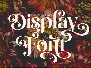 Megan Display font