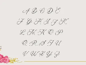 Belflower Script | Modern font