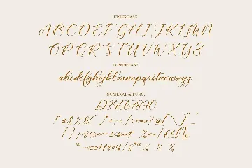 Cathylise Janetson Script Font