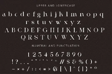 Modern Serif Display Font