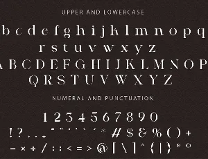 Modern Serif Display Font