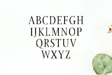 Jerrick Serif 6 Font Pack