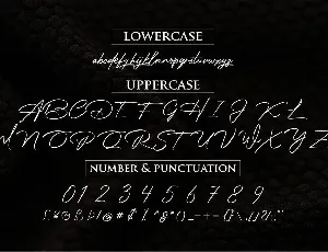 Photograph Signature font