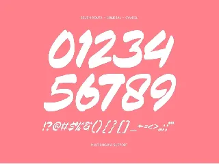 Brush Routa - Brush Font