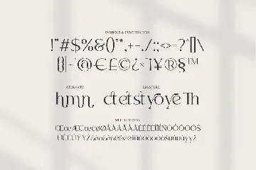 Kayonest A Modern Serif Typeface font