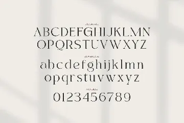 Kayonest A Modern Serif Typeface font