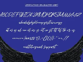 Juxtapose Script Font