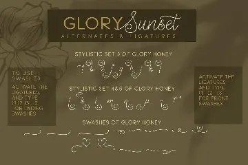 Glory Honey Business font Duo