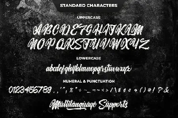 Willingar Diary - Outline Casual Script font