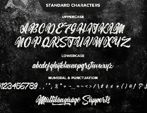 Willingar Diary - Outline Casual Script font