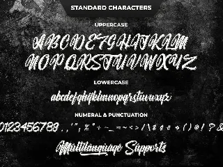 Willingar Diary - Outline Casual Script font