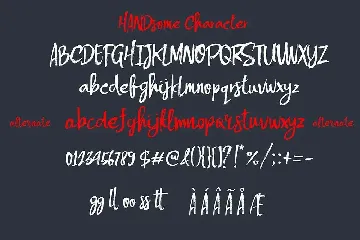 Handsome Brush Font