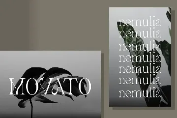 Avander | Modern Stylish font