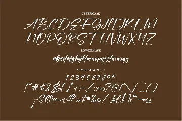 Bronttwen Montesa Modern Script Font