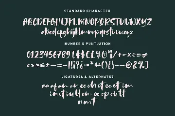 Bounches Font