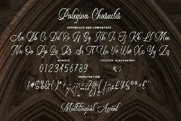 Palegina - Calligraphy Typeface font