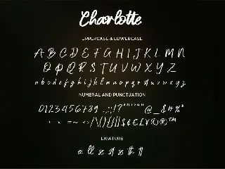 Charlotte - Handwritten Script fonts