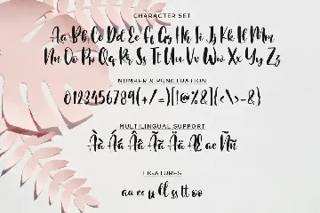 Romantic Chicago font