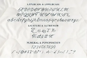 Edna Calligraphy Font