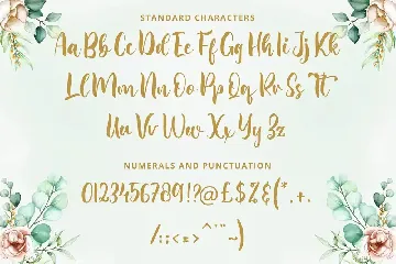 Calligraphy Font