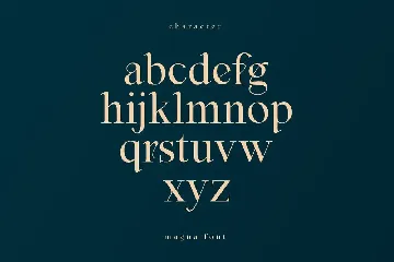 Magna | Modern Serif font