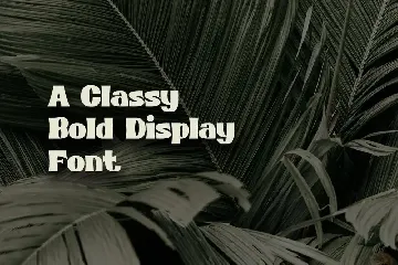 POP CULTURE - classic display font