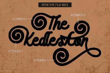 The Kedleston - Swirl Script Font