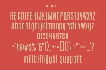 Bortons Font Duo Swash Typeface