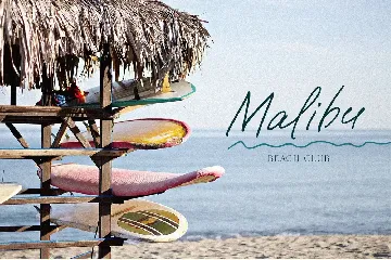 Paradise Beach Script Font Textured