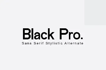 Black Pro Family Sans Serif Font