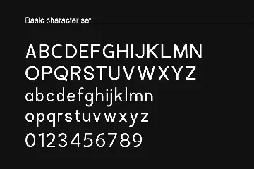 Black Pro Family Sans Serif Font