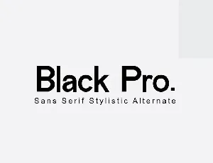 Black Pro Family Sans Serif Font