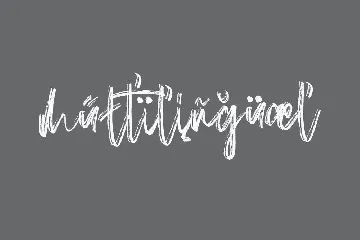 Gastronomes Brush Handmade Font