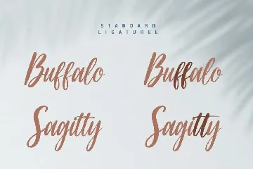 Belatty - Beauty Script Font