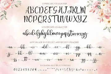 Breyhana - Romantic Script Font