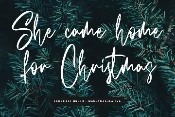 Frostiest Script Modern Brush Font