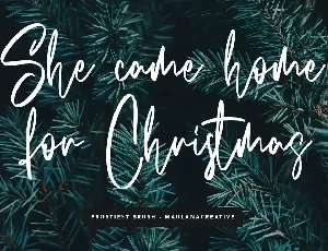 Frostiest Script Modern Brush Font