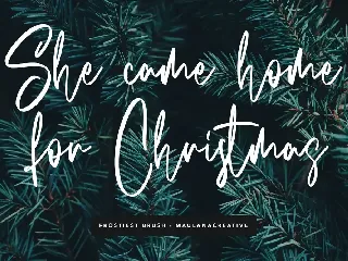 Frostiest Script Modern Brush Font