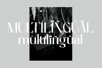 Modern Serif Display Font