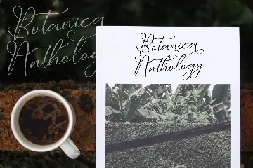 Dolventias Beautya Script Font