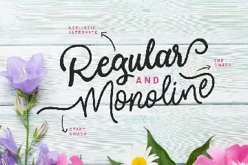 Modesta Script Font duo