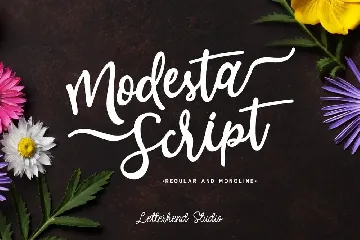 Modesta Script Font duo