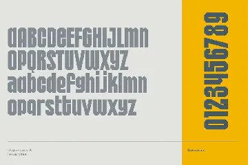 Rayhead Condensed Sans Serif font