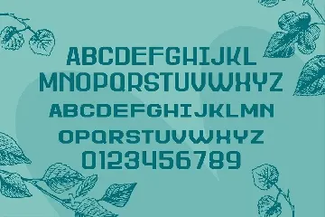 Wedding Font Pairing II